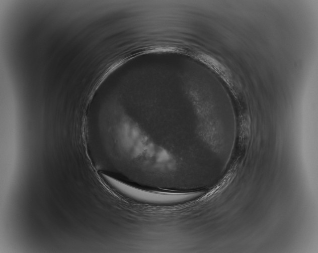 X0000097801377200803201348