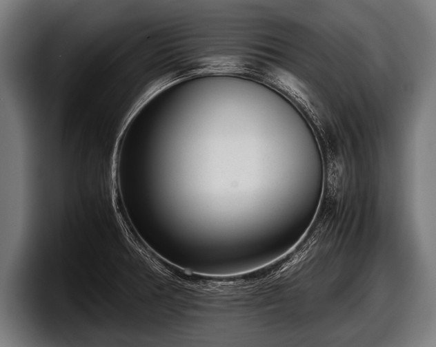 X0000097801378200803201348