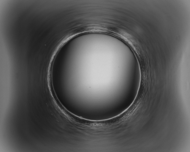 X0000097801379200803201348