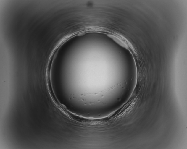 X0000097801381200803201348