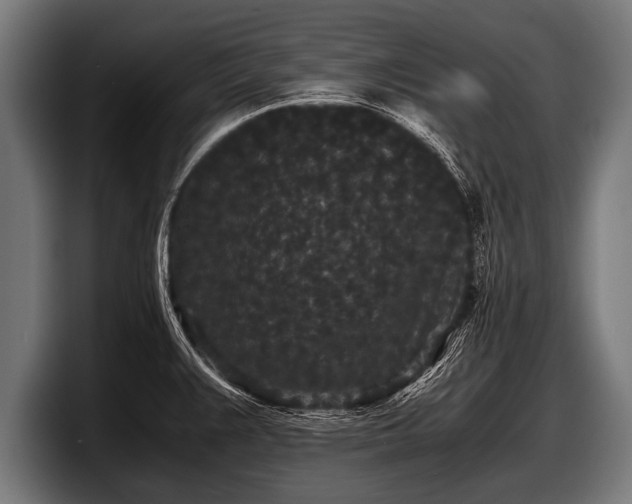 X0000097801383200803201348