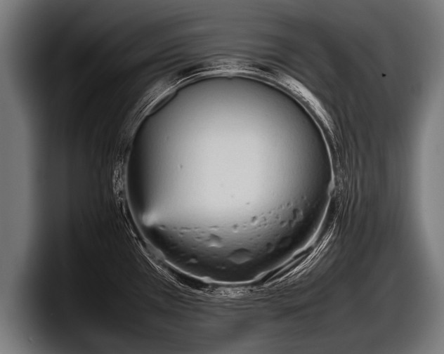 X0000097801385200803201348