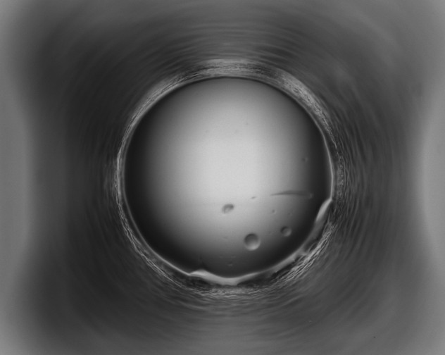 X0000097801386200803201348