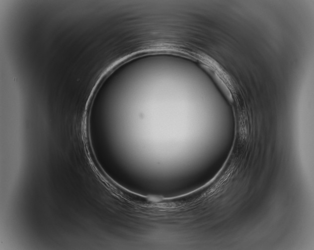 X0000097801388200803201348