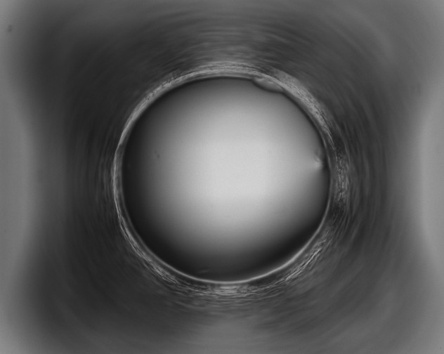 X0000097801390200803201348