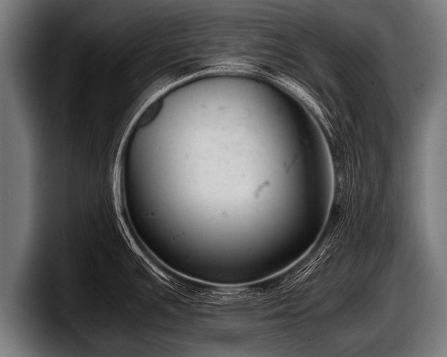 X0000097801391200803201348