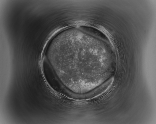 X0000097801392200803201348