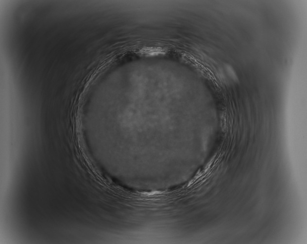 X0000097801393200803201347