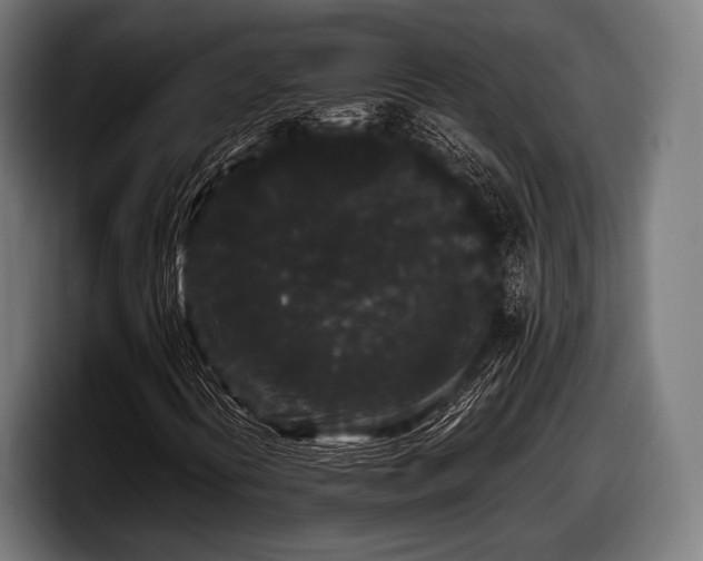 X0000097801394200803201347