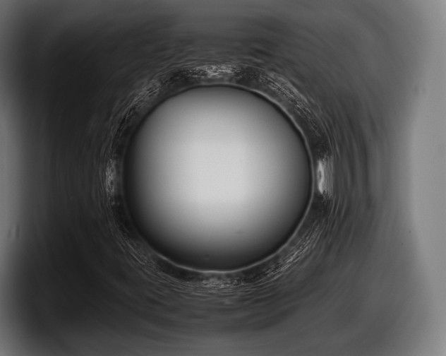 X0000097801395200803201347