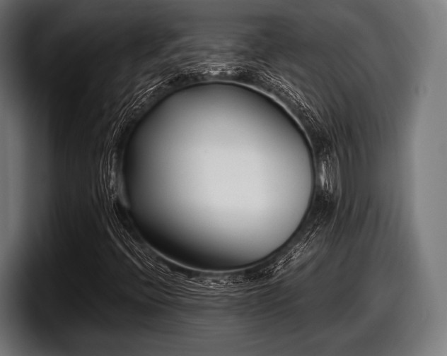 X0000097801396200803201347