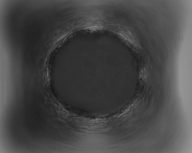 X0000097801398200803201347