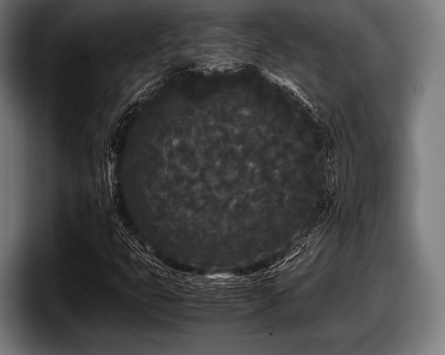 X0000097801399200803201347