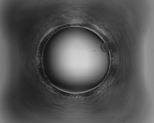 X0000097801400200803201347