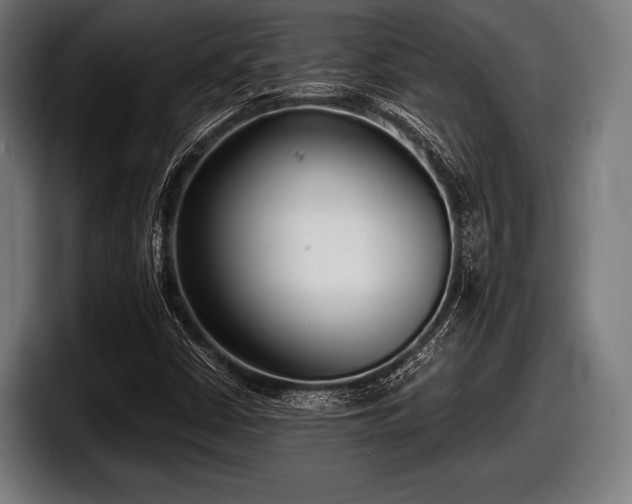 X0000097801402200803201348