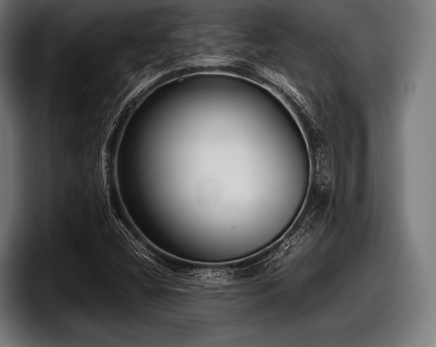 X0000097801404200803201348