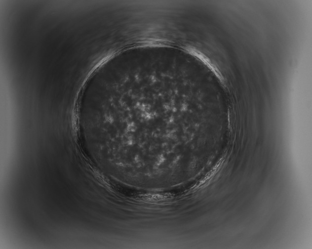 X0000097801405200803201348