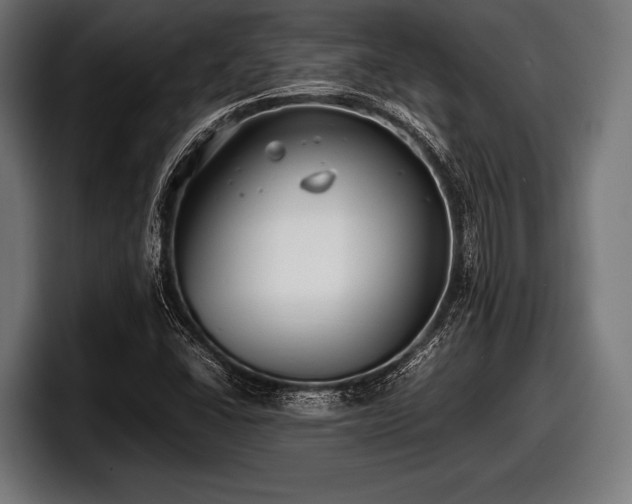 X0000097801406200803201348