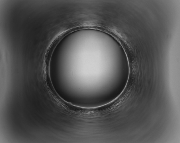 X0000097801408200803201348