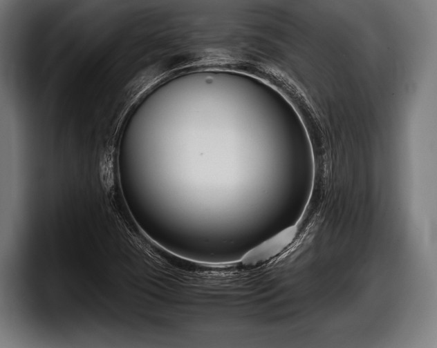 X0000097801409200803201348