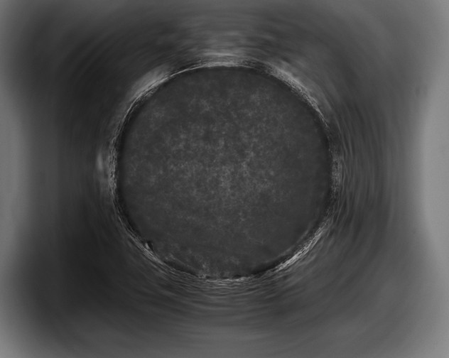 X0000097801411200803201348