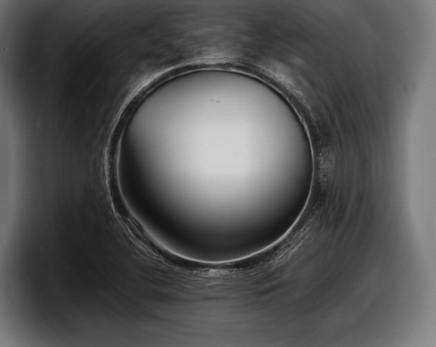 X0000097801412200803201348