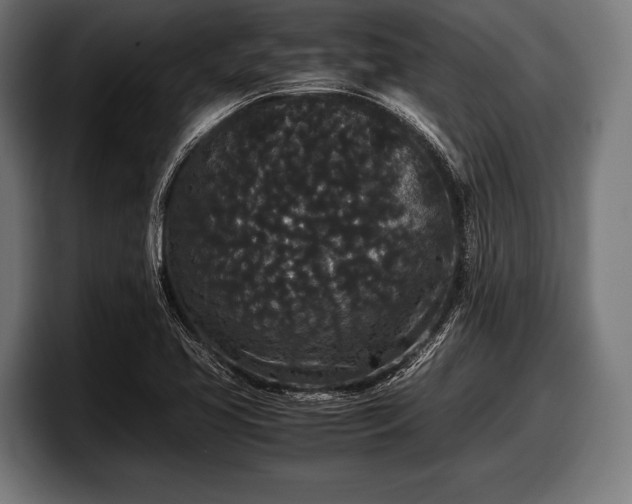 X0000097801413200803201348