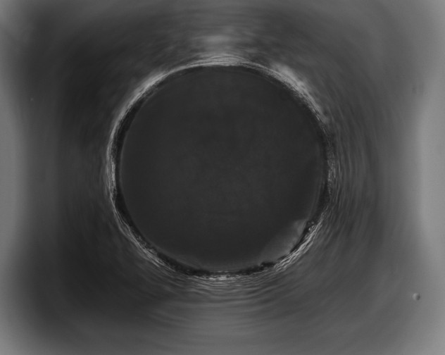 X0000097801414200803201348