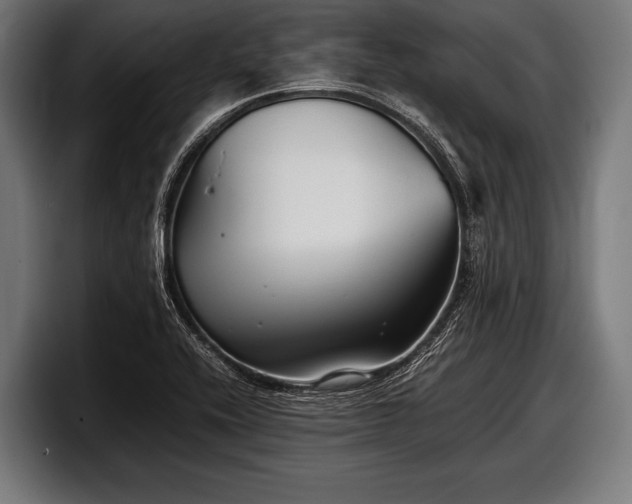 X0000097801416200803201348