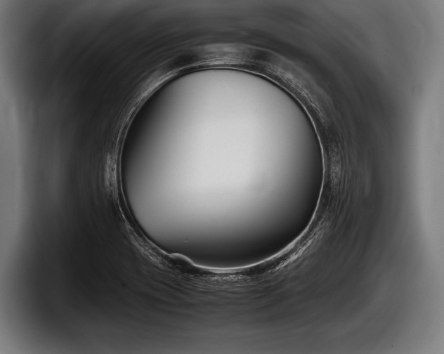 X0000097801417200803201348