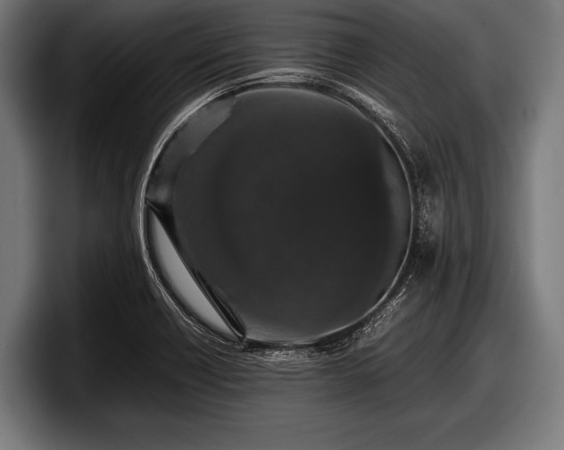 X0000097801418200803201348