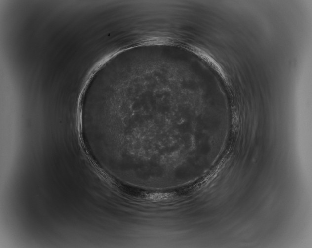 X0000097801419200803201348