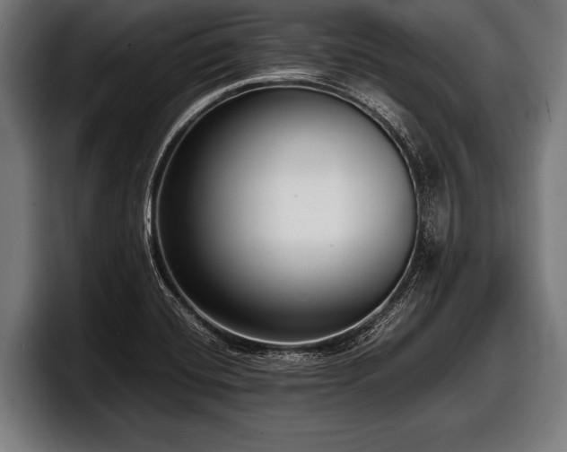 X0000097801420200803201348