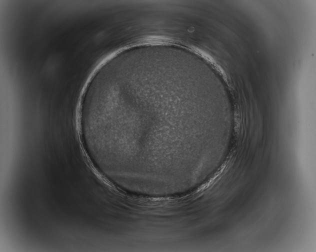 X0000097801421200803201348