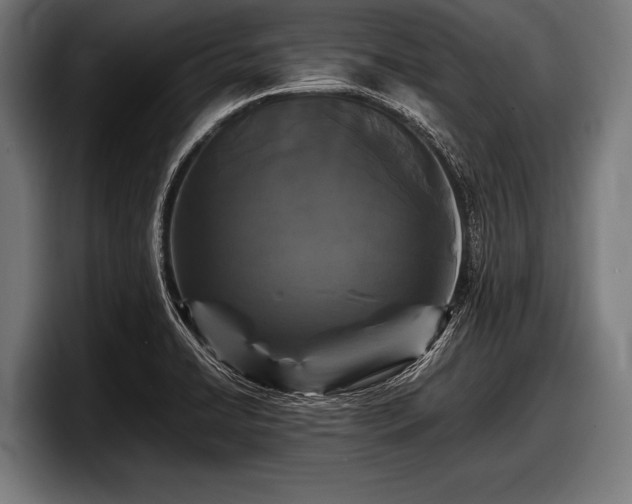 X0000097801422200803201348