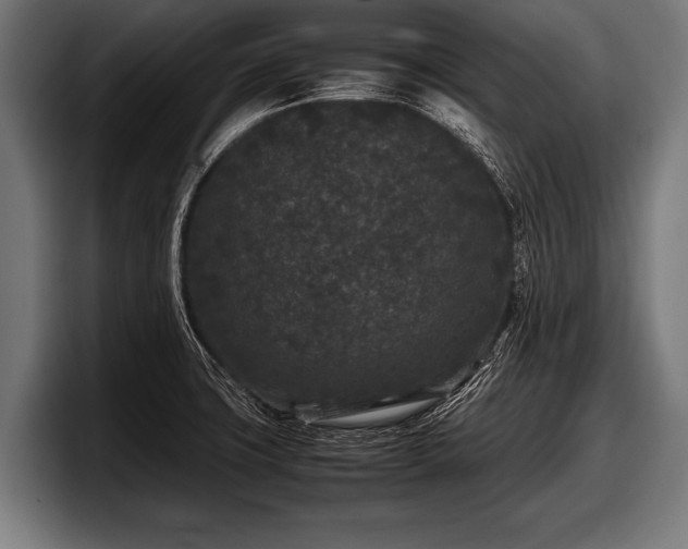 X0000097801427200803201348