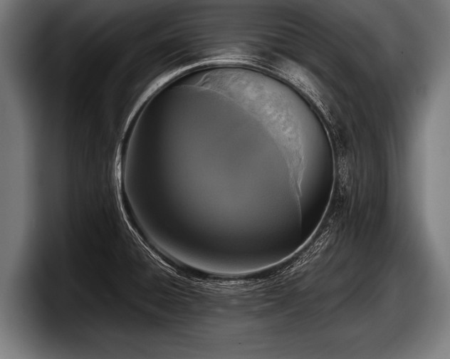 X0000097801428200803201348