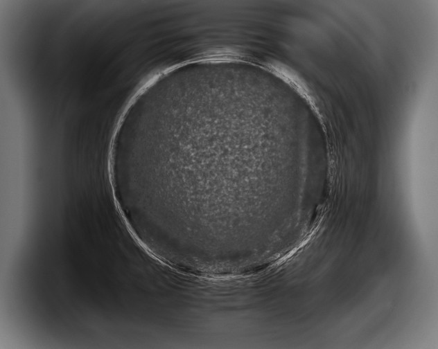 X0000097801429200803201348