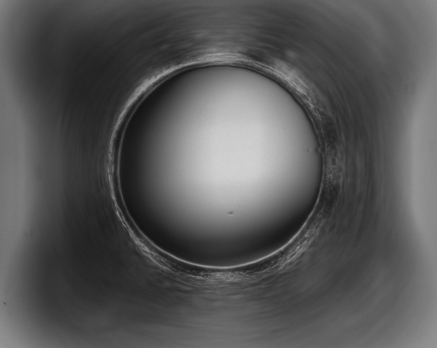 X0000097801430200803201348