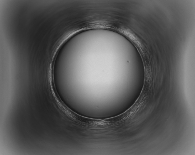 X0000097801431200803201348