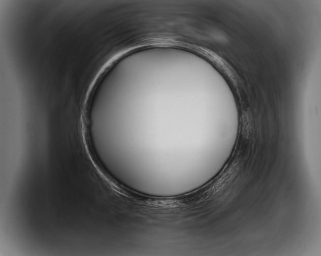 X0000097801432200803201348