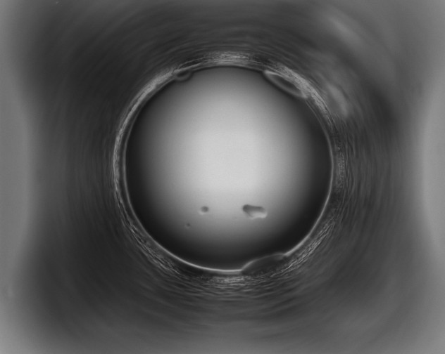 X0000097801435200803201348