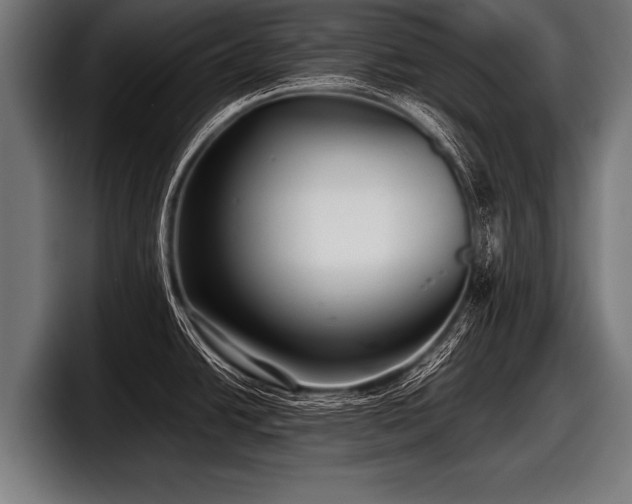 X0000097801438200803201348