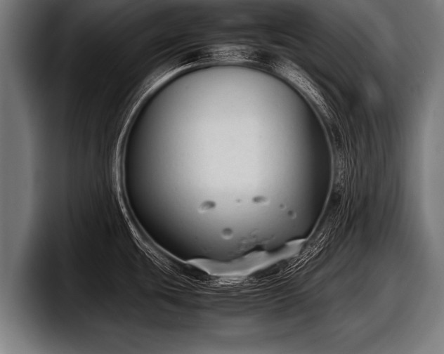 X0000097801439200803201348