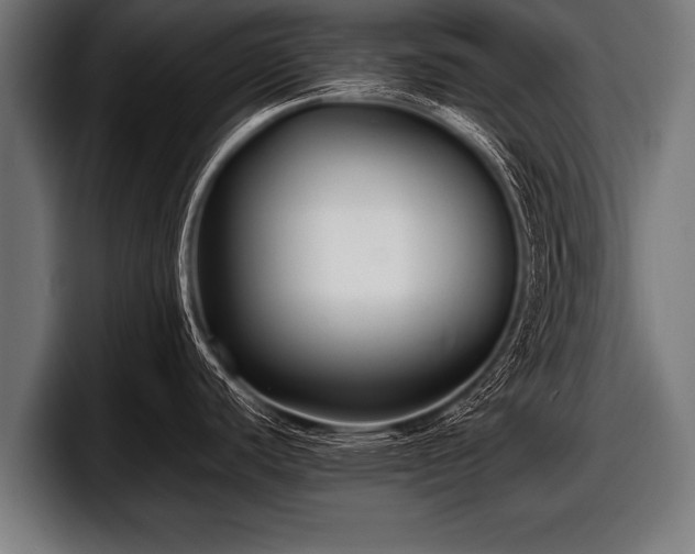 X0000097801440200803201348