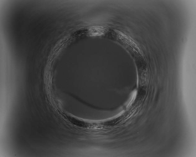 X0000097801441200803201347