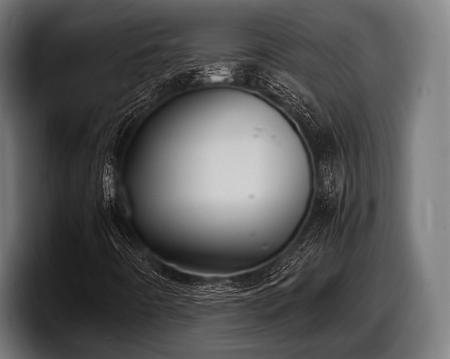 X0000097801442200803201347