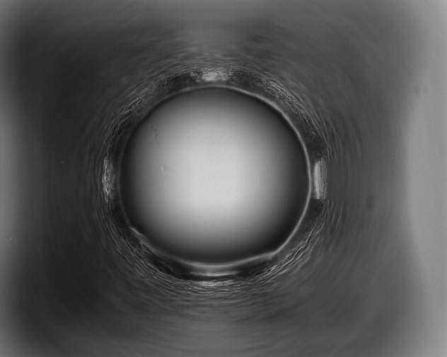 X0000097801443200803201347