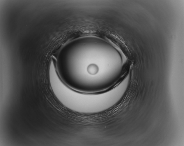 X0000097801444200803201347