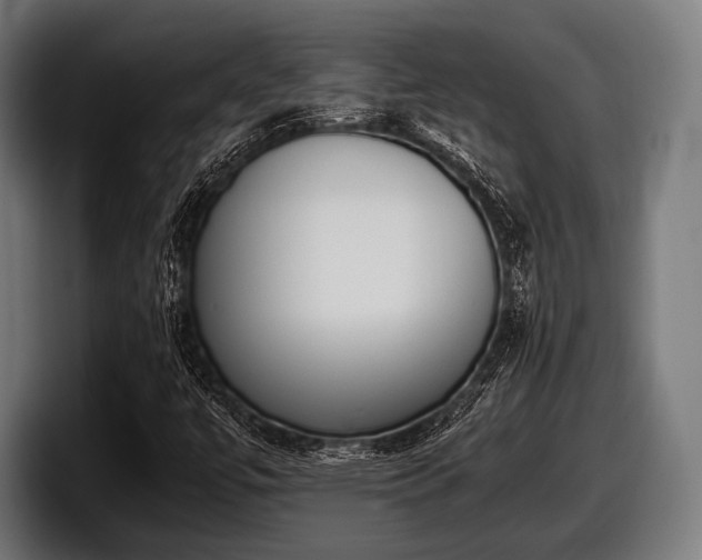 X0000097801447200803201347